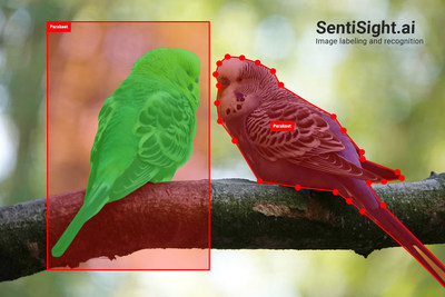 SentiSight.ai is a web-based platform that can be used for image labeling and for developing AI-based image recognition applications. The new version of SentiSight.ai includes powerful features, such as object detection model training, offline models and an improved image labeling tool.