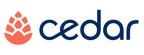 Cedar Partners With New York Cancer &amp; Blood Specialists to Improve and Personalize the Patient Financial Experience