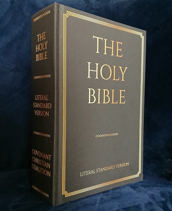 A Groundbreaking New Bible Translation Was Released This Year, and It ...