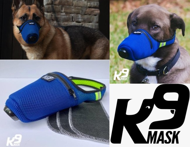 New Air Filter Mask for Dogs Protects Pets from Wildfire Smoke