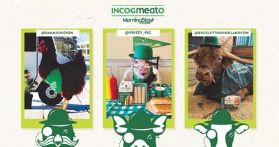 Incogmeato™ by MorningStar Farms®