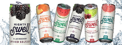 Mighty Swell Spiked Seltzer 2020 Lineup - Blackberry Debut