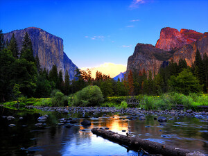 Kimiye Press Announces the Release of New Book, "The Vibrant Landscape"