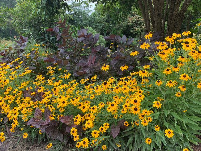 Juniper Level Botanic Garden - Raleigh, North Carolina