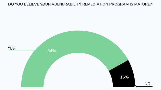 Perceived vulnerability management maturity levels