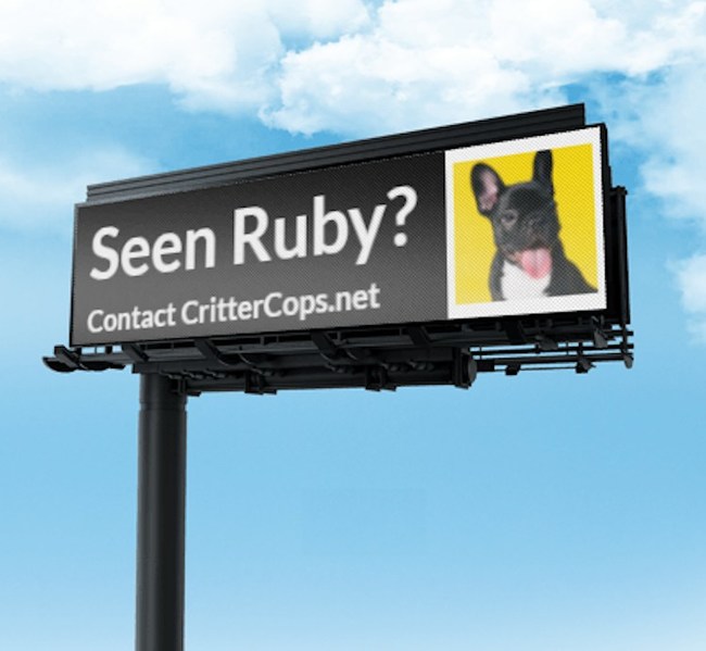 15k billboards selling for $150? The most successful lost and stolen pet service in the world launches their most innovative (and affordable) way yet to find lost and stolen pets - digital billboards across the country at unheard of prices.