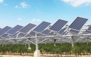 Solución fotovoltaica inteligente: infusión de vida en un paisaje desértico