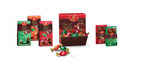 Jelly Belly Introduces Gourmet Chocolate Truffles &amp; Bars Featuring Iconic Shape and Flavors