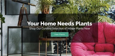 Your Home Needs Plants (CNW Group/Vegaste Technologies Corp.)