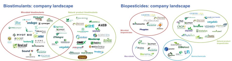 Agricultural Biologicals Could Break the World's Hold on Synthetic Chemicals in Agriculture, says IDTechEx