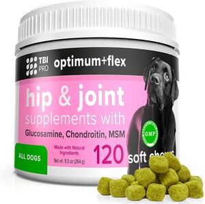 Dog Hip and Joint Arthritis Supplement Now Formulated as Dental Chews for Dogs