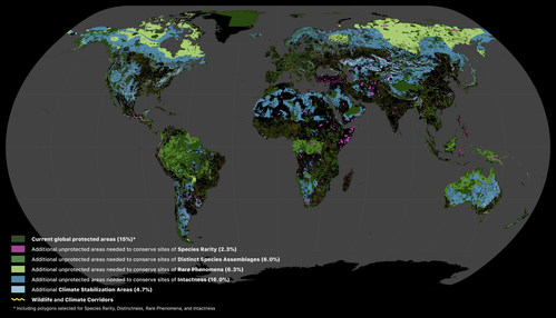 Using global biodiversity and carbon spatial data, the Global Safety Net identifies terrestrial areas where expanding protection to approximately half the Earth can reverse biodiversity loss and stabilize the climate. Shown here is a visualization of the Global Safety Net.