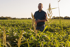 Kellogg Grant Expands Illinois Conservation Program Supporting Farmers to Adapt to Climate Change, Reduce Greenhouse Gas Emissions