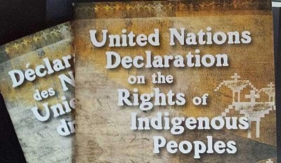 September 13, 2020, marks the 13th UN anniversary of the adoption of the UN Declaration on the Rights of Indigenous Peoples (CNW Group/Mtis National Council)