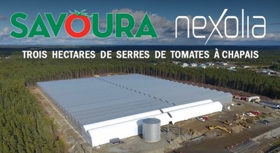 Savoura / Un partenariat innovant  Chapais avec Nexolia - 1800 tonnes de tomates Savoura de plus annuellement (Groupe CNW/Savoura)
