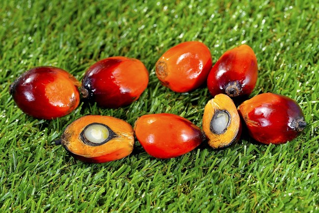 TheraPrimE® Tocotrienols from Palm Oil
