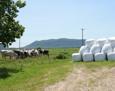 Farmers with livestock commonly preserve hay and silage in plastic wrap. Though a beneficial farm tool, the plastic requires end-of-life management. This Cleanfarms project is examining how plastic wrap and other used materials can be recovered for recycling.  
- Cleanfarms photo (CNW Group/CleanFARMS Inc.)