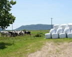 Three-year Cleanfarms Project Focusing on Improving Ag Plastic Recycling