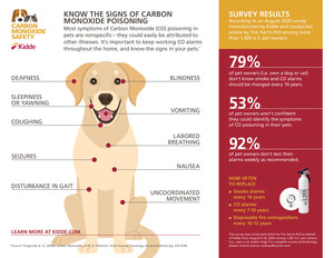 Understanding the Signs of Carbon Monoxide Poisoning in Pets