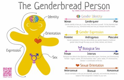 Gender-Bread Person for Kindergarten