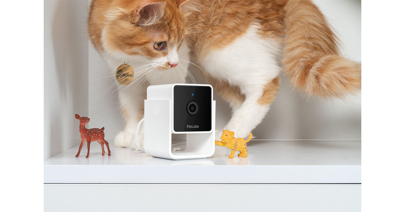 Petcube launches Cam, an affordable pet camera integrated with vet ...