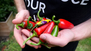 Subversive Gardener Celebrates Radical Gardening in New Video Series