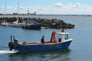 Listuguj Mi'gmaq Government says systemic racism from Department of Fisheries and Oceans blocking the First Nation's right to sell fall lobster