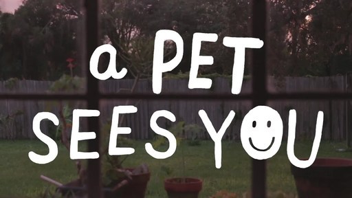 New Pets Add Life Video Highlights How A Pet Sees You Through The Most Challenging Of Times