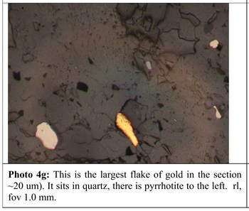 Figure 2: Free gold (yellow) within a sample from the LP Fault which assayed 130.97 g/t gold (Ross, 2019). (CNW Group/Great Bear Resources Ltd.)