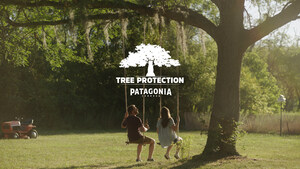 Love A Tree? Protect It For Free Thanks To Cerveza Patagonia