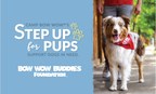 The Bow Wow Buddies Foundation® Launches Virtual Dog Walking Challenge to Raise Funds for Pups in Need