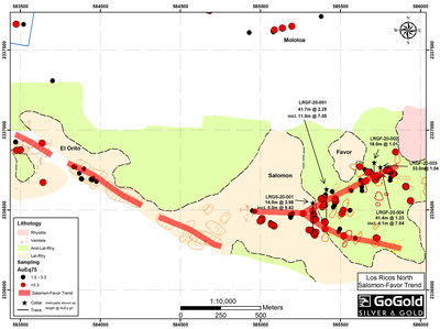 Drill plan map showing the Salomon-Favor target, including surface sampling details (CNW Group/GoGold Resources Inc.)