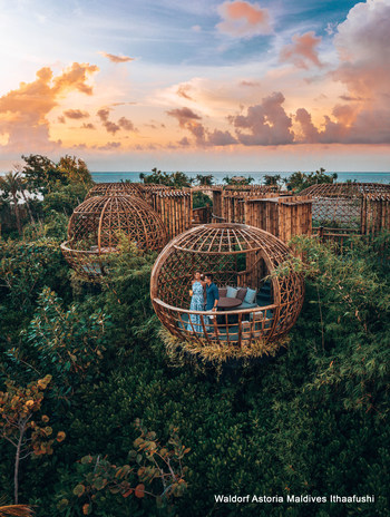 Embark on an unforgettable culinary journey as you romance among the treetops at the resort’s Signature restaurant, Terra.