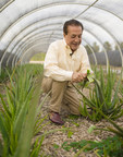 CHI Natural Gardens Receives Organic Certification