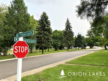 Large pine trees lend shade and beauty to residents at Orion Lakes.