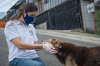 More action needed to end rabies by 2030 deadline says World Animal Protection