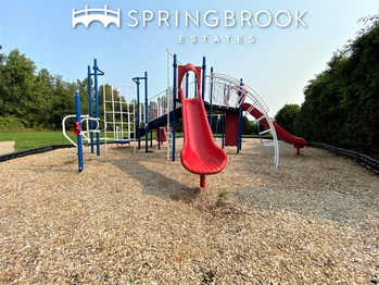 Among the improvements made by Havenpark Communities to Springbrook Estates is this new playground.