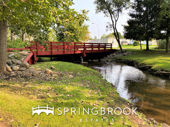 Residents at the Springbrook Estates community enjoy beautiful natural amenities including lush greenery and a creek.