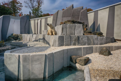 Ds demain, la clientle de l'Aquarium du Qubec aura la chance de venir dcouvrir le nouvel habitat agrandi des ours blancs qui permet une rencontre plus authentique et intime avec l'animal. (Groupe CNW/Socit des tablissements de plein air du Qubec)