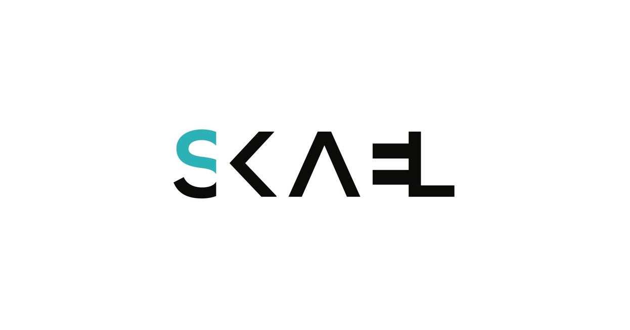 SKAEL announces momentum led by 700% growth in 2020