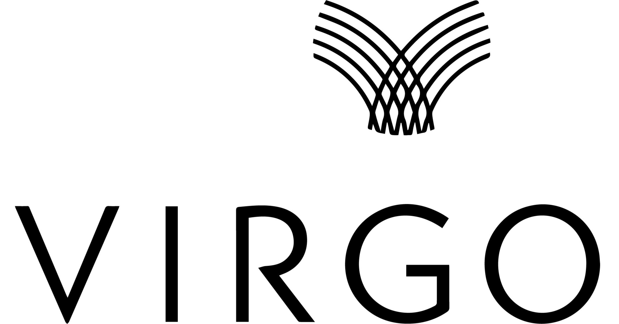 Virgo Investment Group Announces Growth Capital Investment In Flow
