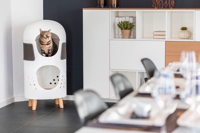 Catrub ONE: Multifunctional Cat Furniture - Awarded with the German Design Award 2021. Catrub ONE will be available on Kickstarter for 40 days from 15.10.2020. All information about the features of the product are available at the company's website at http://www.catrub.com/en