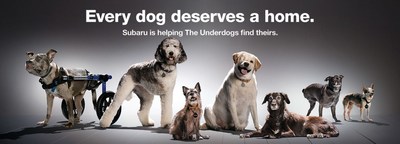 Throughout October and on #MakeADogsDay (October 22), Subaru is celebrating the Underdogs ? last to be adopted shelter dogs in need of loving homes ? including dogs with special needs.