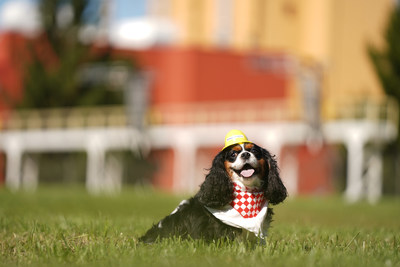 Maddie Grace, a Cavalier King Charles Spaniel, poses in front of the future home of Nestlé Purina PetCare’s 22nd U.S. manufacturing facility, slated to begin operating in Eden, N.C. in 2022.