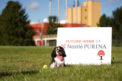 Maddie Grace, a Cavalier King Charles Spaniel, poses in front of the future home of Nestlé Purina PetCare’s 22nd U.S. manufacturing facility, slated to begin operating in Eden, N.C. in 2022.