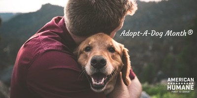Adopting a dog now is more important than ever - for them...and for you.