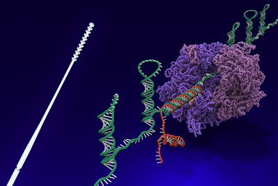 Harvard Wyss Institute’s nasal swab (left) and toehold switch (right) technologies are licensed to Agile Biodetection, which will use them to develop solutions for unmet diagnostic needs in the detection of the SARS-CoV-2 virus in environmental and clinical settings. Credit: Wyss Institute at Harvard University