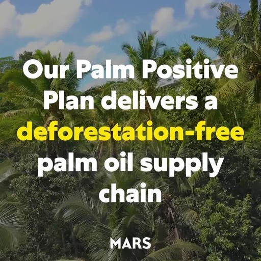 Mars Palm Positive Plan Delivers Deforestation-Free Palm Oil Supply Chain