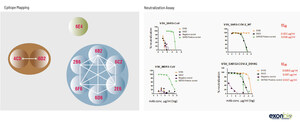 Exonbio announces the launch of SARS-CoV-2 Neutralizing Anti-spike monoclonal antibody for development of Antigen Assays and Therapeutics for COVID-19