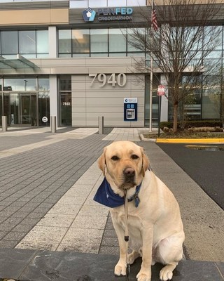 Clint, one of the assistance dogs in training raised in PenFed's Tysons headquarters, successfully graduated the Canine Companions program and was placed with the daughter of an Air Force veteran.